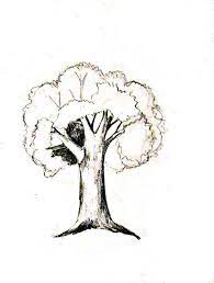 Pin On Draw Trees