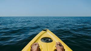 Maybe you would like to learn more about one of these? Kayak Tours Rentals In St Pete Travel Resort Services