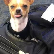 This is serious if Chief is asking everyone to not use the fireworks this  year.