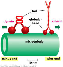 Pin On Chemistry