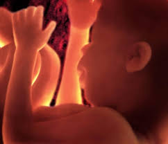 At 36 weeks, a baby is considered late preterm. Parentune 36 Weeks And 4 Days Pregnant Baby Fetal Progress Ultrasound Nutrition Tips And Advice
