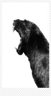 Check spelling or type a new query. Panther Black Tiger Animal Angry Black Tiger Hd Png Download Vhv