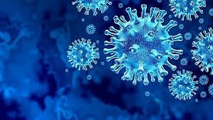 In signal processing, total variation denoising, also known as total variation regularization, is a process, most often used in digital image processing, that has applications in noise removal. Biáº¿n Thá»ƒ Lambda Cá»§a Virus Sars Cov 2 La Biáº¿n Thá»ƒ Ä'ang LÆ°u Tam