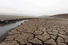 Hay que asimilar nutrientes y las protes eso lo hacen. La Naturaleza Politica De La Sequia En Petorca Ciper Chile