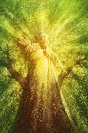 À l'heure précise de leur arrivée, soit à 22 h 00, vous leur ouvrez la porte pour les accueillir en lisant une prière. Profil De Lynda Lynda0805 Pinterest