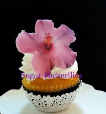Maybe you would like to learn more about one of these? Edible Wafer Pink Hibiscus Flowers Cake Decorations Cupcake Toppers Set Of 12 Buy Online In Montenegro At Montenegro Desertcart Com Productid 32481109