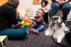To establish an aat program one must required ongoing education to the animal and owner and liability insurance covering the animal. Puppies With Purpose The Benefits Of Animal Assisted Therapy Gillette Children S Specialty Healthcare