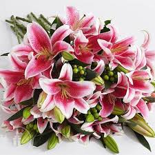 Oriental Lilies Cluster Flower Delivery Oriental Lily Lily Flower
