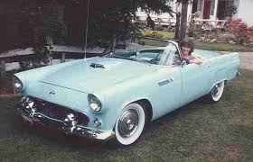 Image result for Snowshoe White 1955 Thunderbird
