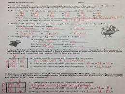 One of spongebob's cousins, spongebillybob, recently met a cute squarepants gal, spongegerdy, at a local dance and fell in love. Bikini Bottom Genetics Worksheet Answer Key Worksheet List