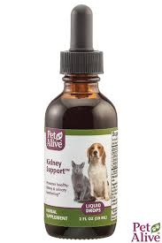 Natural Kidney Support For Cat Dog Kidney Support In 2020 Pet Health Dog Cat Cat Supplement