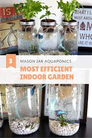 3 Mason Jar Aquaponics Kit Build Your Own Hydroponics Herb Garden Free Shipping Aquaponics Indoor Herb Garden Growing Herbs