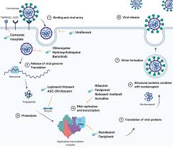 Extended health examiner at pacific blue cross. Epidemic And Pandemic Viral Infections Impact On Tuberculosis And The Lung A Consensus By The World Association For Infectious Diseases And Immunological Disorders Waidid Global Tuberculosis Network Gtn And Members Of Escmid