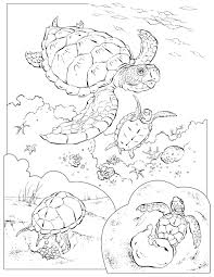 Coloring Book Animals A To I Turtle Coloring Pages Animal Coloring Pages Coloring Pages