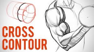Simplifying Arm Muscles With Cross Contour Biceps Critique Youtube Hence creating a replica via pen and paper could be complex. simplifying arm muscles with cross contour biceps critique