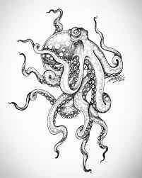 Pin On Octopus