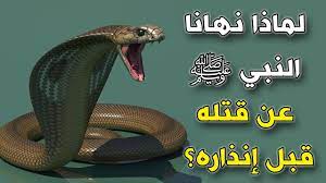 لَيْسَ كَمِثْلِهِ شَيْءٌ وَهُوَ السَّمِيعُ البَصِيرُ الشورى:11 فليس يشبهه، يمكن أن يكلمه ربه، يرى في النوم أنه. Ø³Ù… ÙŠÙ‚ØªÙ„ Ø§Ù„Ø«Ø¹Ø§Ø¨ÙŠÙ†