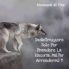 Non chiedo di meglio che vivere il sogno voglio cantare o fare una strumentale non voglio passare una vita a timbrare no niente di male ma perchè arrangiarsi perchè accontentarsi di fare la vita che dicono gli altri sempre stato di lato mai stato al centro lei dice lui è simpatico ma io scelgo l'altro poi torno a. Momenti Di Vita Io Non Mi Arrendo Mai