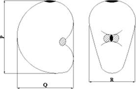 Predicting Cashew Nut Cracking Using Hertz Theory Of Contact