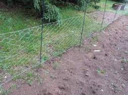 Home / general gardening / tips on how to install a chicken wire fence to protect your garden you are working hard on your garden to make it one of the best in town. Pin On In The Garden