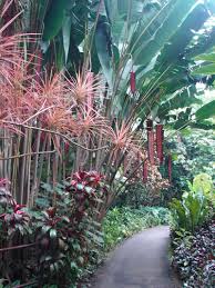 Earthly Nirvana Tropical Garden Design Tropical Landscaping Urban Garden