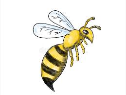 Our drawing is a very simple cartoon version of a bumblebee, so let's give it large cartoon eyes. Bumble Bee Side Stock Illustrations 23 Bumble Bee Side Stock Illustrations Vectors Clipart Dreamstime