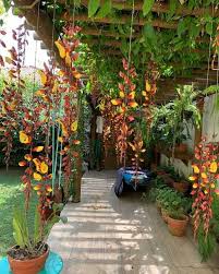 Image result for Thunbergia mysorensis