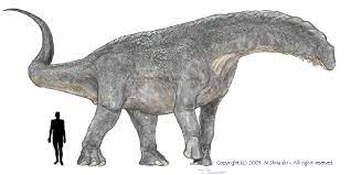 Titanosaurus briefly battled his trilopod clone before zilla stepped in and mauled it. Titanosaurus Prehistoric Wiki Fandom