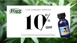 When other players try to make money during the game, these codes make it easy for you and you can reach what you that's all! Get Fogg Flavors Terpenes Coupon Codes Here Verified To Work