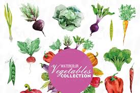 Download Watercolor Vegetables Clip Art Pack Green And Colorful Vegetables Healthy Food Eps Png Jpg Svg Vector Files Included Instant Download 101362 Illustrations Design Bundles