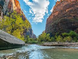The renewal fee is $26.00 for a regular license or $79.58 for an. Colorado Fishing License And Permits Minturn Anglers