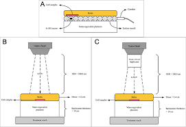 195a, jalan tun razak 50400 kuala lumpur. Synergetic Influence Of Bismuth Oxide Nanoparticles Cisplatin And Bai Ijn