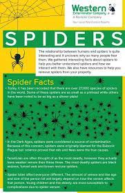 I'm really scared of spiders and i was just wondering how to become my fear of them. Spiders The Good News And Bad News Western Exterminator