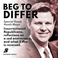 Insurrectionist Republicans, reflections