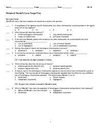 Multiple choice questions (out of 18 questions): Meiosis Multiple Choice Test By Liz Miller Teachers Pay Teachers