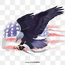American Eagle American Flag Eagle White Headed Sea Eagle Elements Animal Png Transparent Clipart Image And Psd File For Free Download American Flag Eagle Silhouette Illustration American Symbols