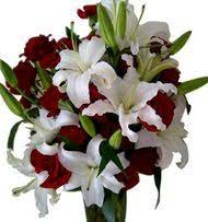 Denver, colorado springs aurora lakewood fort collins arvada pueblo westminster boulder thornton. Flower Shops In Pueblo Co