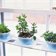 Although usually spring is the right time, where the sun is shining, the birds are singing and the sky was blue. 14 Brilliant Diy Indoor Herb Garden Ideas The Garden Glove