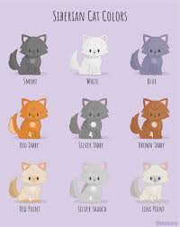 Colour and pattern charts sarah hartwell/messybeast.com. Siberian Cat Color Chart Incomplete Siberiancats