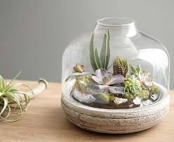 We may earn a commission from these links. Unique Gifts For Mom Mothers Day Gifts Ideas World Market