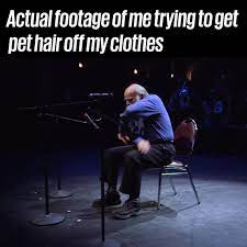 G am c/b c we're all gonna die trying to get it right. Unilad Me Trying To Get Pet Hair Off My Clothes Facebook