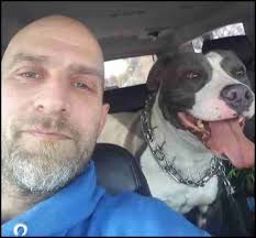 Pit bulls kill would-be rescuer in Detroit & two-year-old in Maryland
