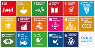 The sdgs call for worldwide action among governments, business and civil society to end poverty and create a life please click any of the 17 sdg icons below to learn more about the goal and its targets. Schatzmeister Innen Archive Gtvs Wissenswerkstatt W178