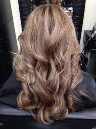 Chestnut blonde hair color concerning balayage hair wigs. Dark Blonde With Lowlights So Pretty Dark Blonde Hair Color Hair Styles Blonde Hair Color
