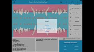 Pet Dental Charting For Veterinarians And Technicians Digital Solution For Dental Charting