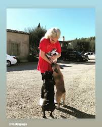 Nancy Renda (@rendanancy) • Instagram photos and videos