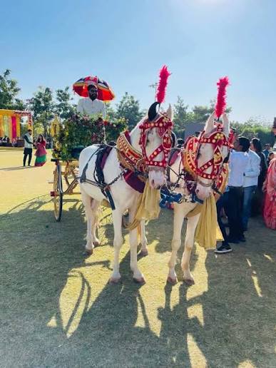 Top Horse Carriage Dealers in Mumbai near me - Justdial