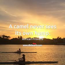 The llama, the alpaca, the guanaco. A Camel Never Sees Its Own Hump Idlehearts