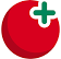 Tamatem logo
