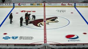 Jul 14, 2021 · the last time the coyotes faced an expansion draft, they ended up losing a player that they had no intention of even signing. Arizona Coyotes Mountain American Credit Union Ink Sponsorship Phoenix Business Journal